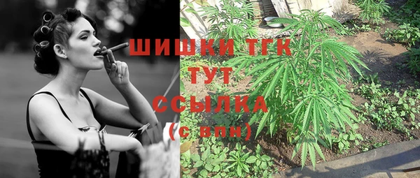 круглые Дмитриев
