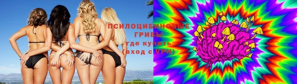 a pvp Дмитров